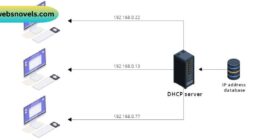 https://acortaz.eu/protocolo-de-configuracion-dinamica/